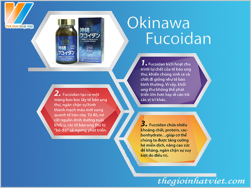 Okinawa Fucoidan Kanehide Bio 2